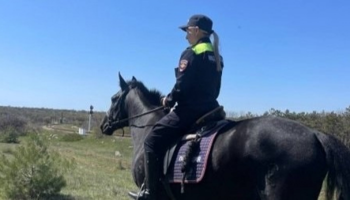 В Севастополе усилена охрана леса