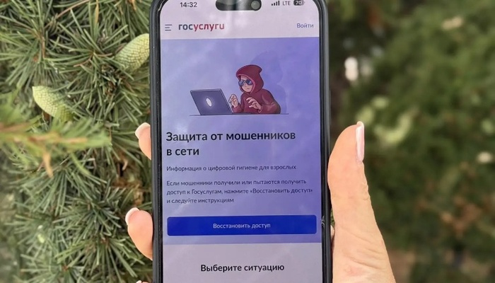 На Госуслугах запущен цифровой сервис по жизненной ситуации «Защита от мошенников в сети»