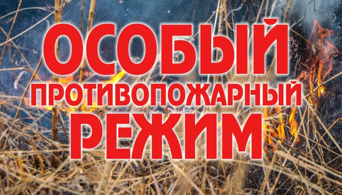 В Севастополе действует особый противопожарный режим: сотрудники департамента напоминают о правилах поведения