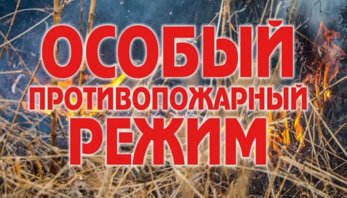 В Севастополе особый противопожарный режим продлен до 10 сентября
