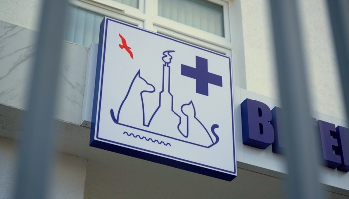 В Севастополе продолжают бесплатно вакцинировать собак и кошек против бешенства