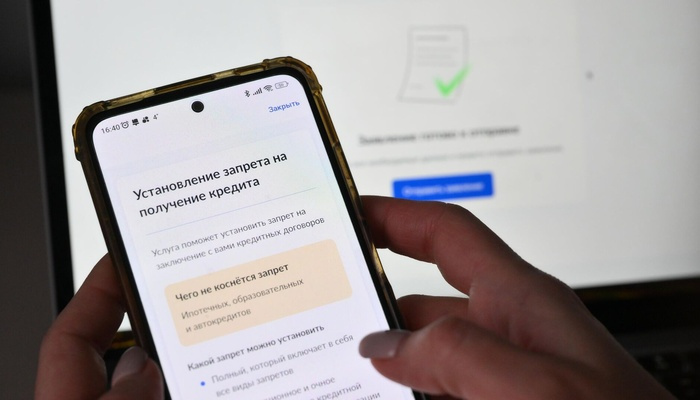 Самозапрет на кредиты стал самой популярной услугой в борьбе с мошенниками на Госуслугах